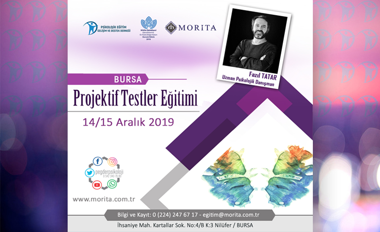 projektifsite